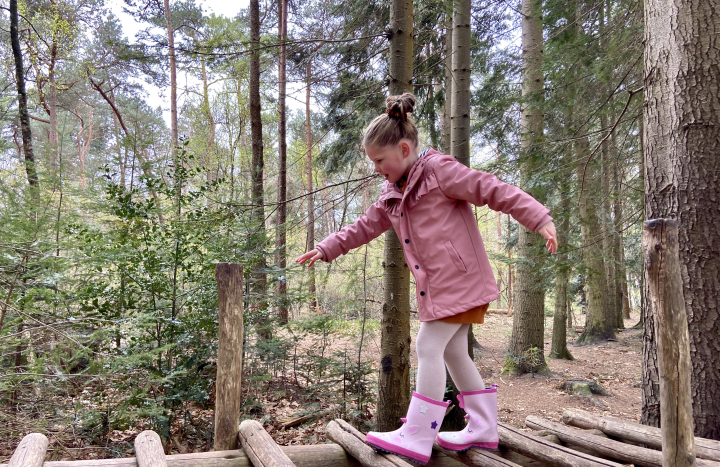 Speelbos: In het hol van de leeuw | Landschap Overijssel